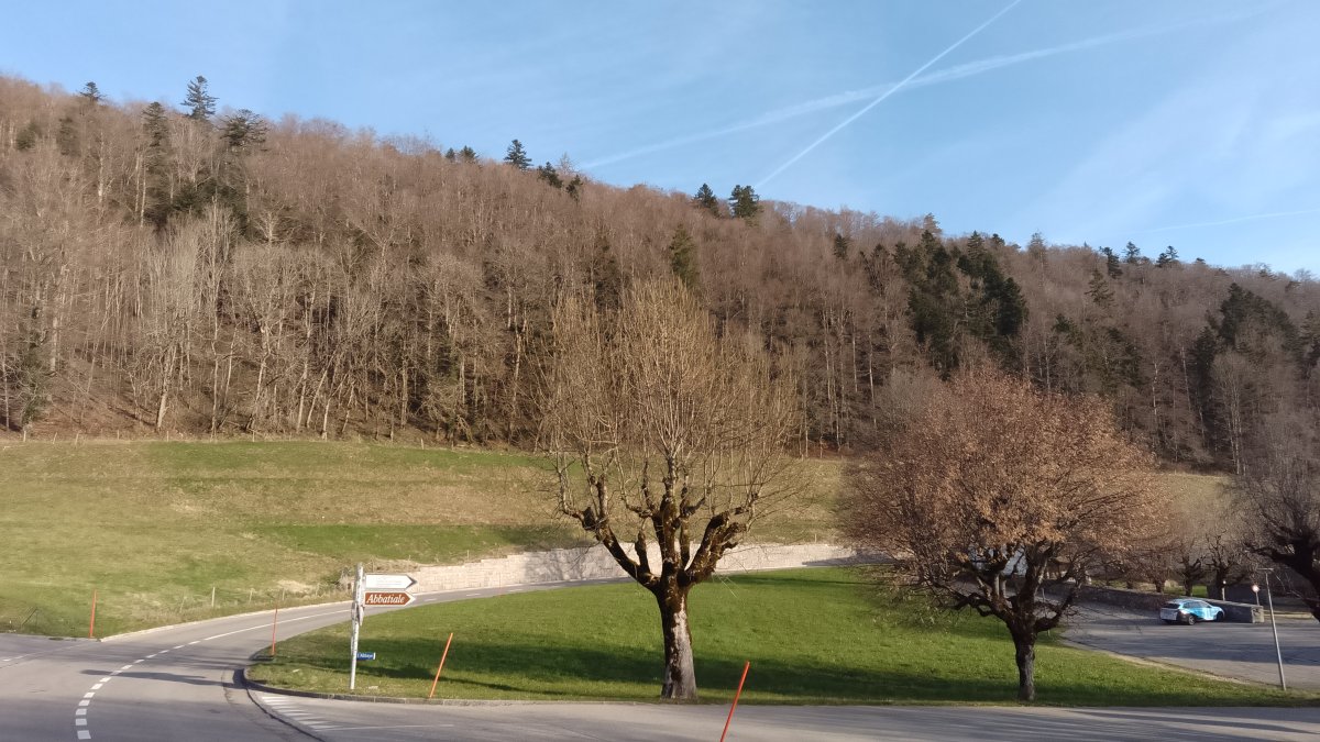 Barrière à batraciens, Bellelay