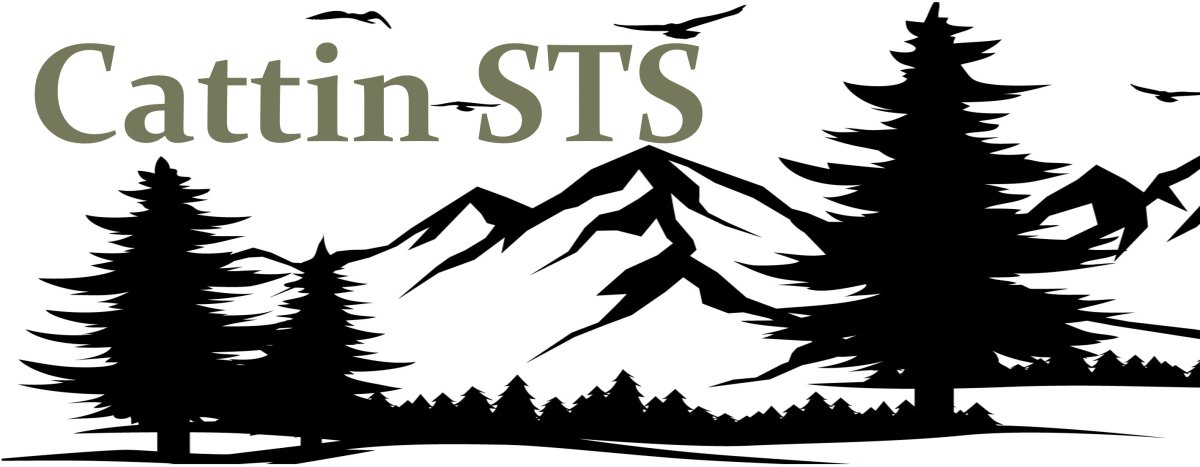 STS