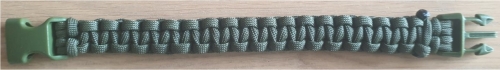 Bracelet avec fermoire